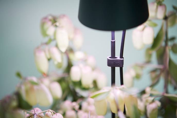 leaf light care 36cm living noir
